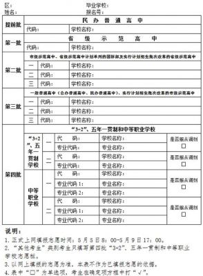 武汉中考志愿填报表（武汉中考志愿填报表怎么填）