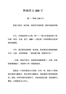 如何解决谁来种地作文（“谁来种地”“怎样种地”既是农业生产的核心问题）