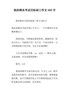 如何实现期末目标作文（如何实现目标作文800字）