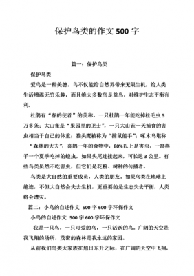 我们如何保护鸟类（我们如何保护鸟类建议）