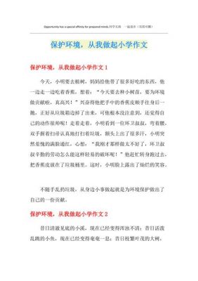 我如何保护环境的作文（保护环境我该怎么做作文）