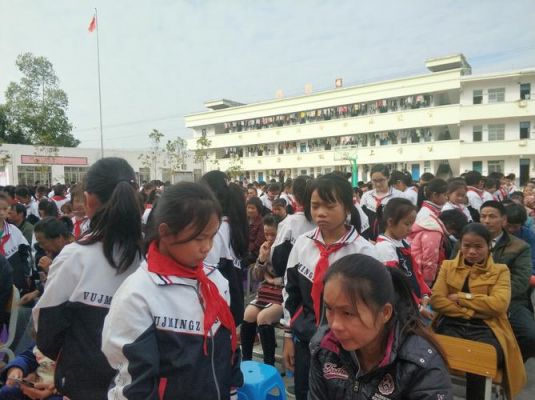 武鸣里建高中升学率（武鸣里建有多少个小学）