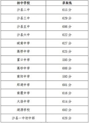 实外西区中考升学率（实外西区中考录取分数线2021）