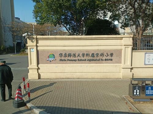 华师大附中紫竹升学率（华师大附属紫竹小学第几梯队）