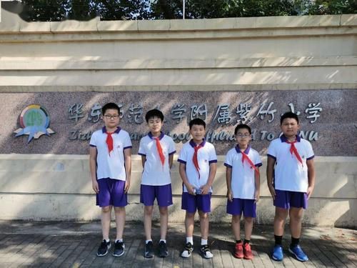 华师大附中紫竹升学率（华师大附属紫竹小学第几梯队）