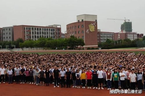 霍山文峰学校升学率（霍山文峰学校升学率怎样）