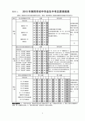 衡阳中考网上填志愿（衡阳中考填志愿可以填几个学校）