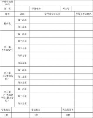 中考志愿表格怎么写6（中考报考志愿表格）