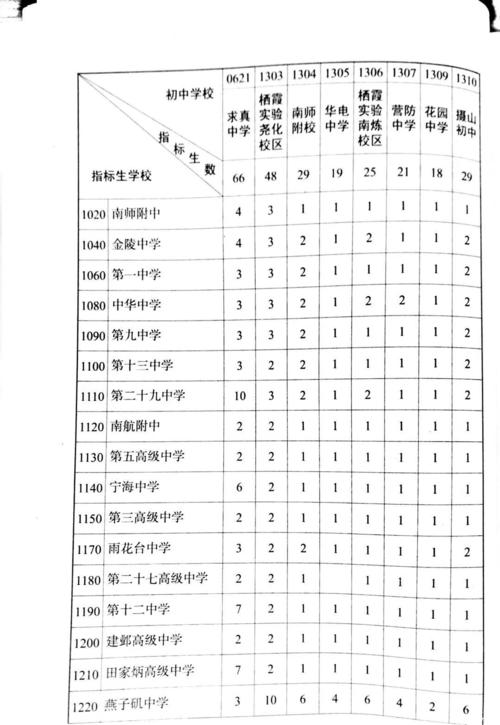 南师附中分校的升学率（南师附中分校的升学率怎么样）