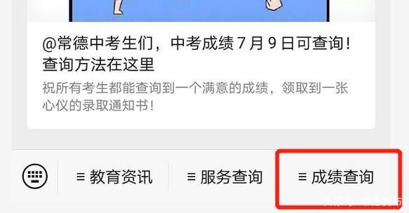 中考网报志愿用手机（中考报志愿用手机报了电脑查询显示提交成功）