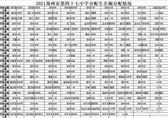 郑州四十七中升学率（郑州市四十七中中新班升学率）