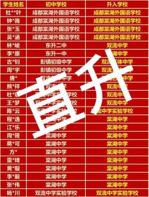 双流棠湖中学中考升学率（2020年双流棠湖中学中考录取分数线是多少）