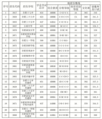 2016合肥中考志愿表（2020合肥中考志愿表）