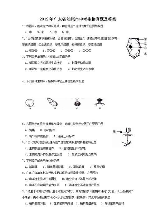 2012广东中考生物（广东中考生物试卷）