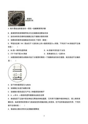 2017年北京市高考生物（北京高考生物试卷2020真题）