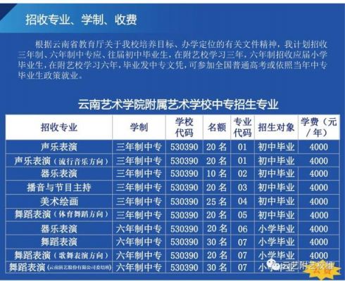 云南艺考生考外省（云南艺考生可报考的外省学校）