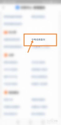 初中考生查成绩（初中考生查成绩怎么查）