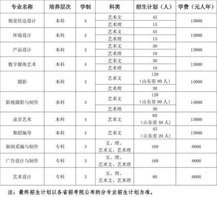 各高校招收山东艺考生（各高校招收山东艺考生吗）