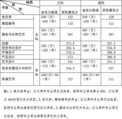 艺考生可以上的专科（艺考生可以上的专科大学）