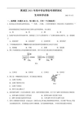 2018松江高考生物二模（2021松江高三生物一模）