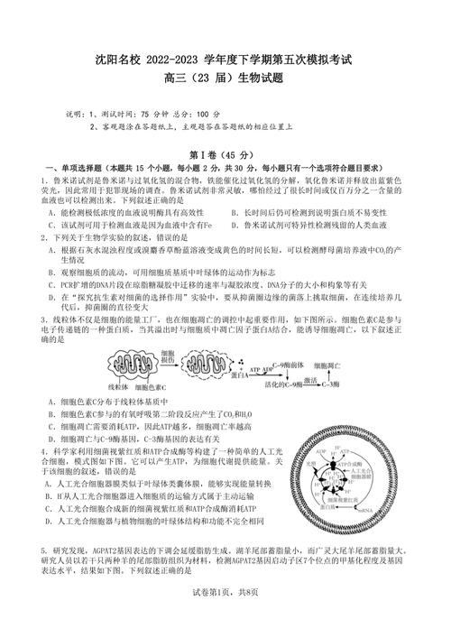 辽宁省高考生物试卷（2023年辽宁省高考生物试卷）