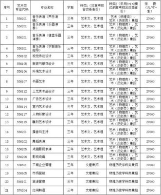 艺术类考生大连大学（大连大学艺术类招生计划2021）