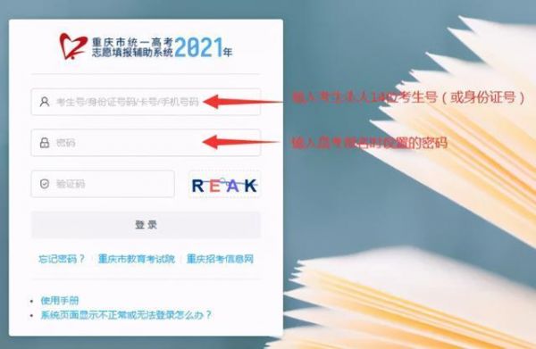 重庆2020年高考考生号（2021重庆高考报名号查询）