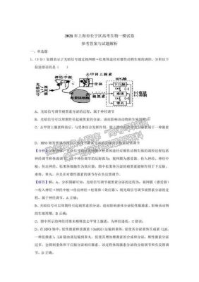 2018长宁高考生物一模（2021年长宁高考生命科学一模卷）