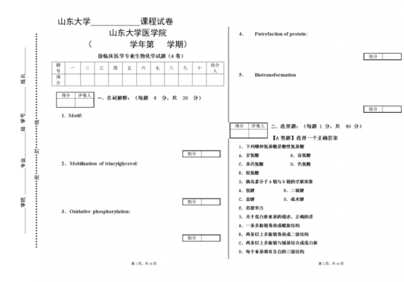 双语类考生报考法学（双语类考生考什么）