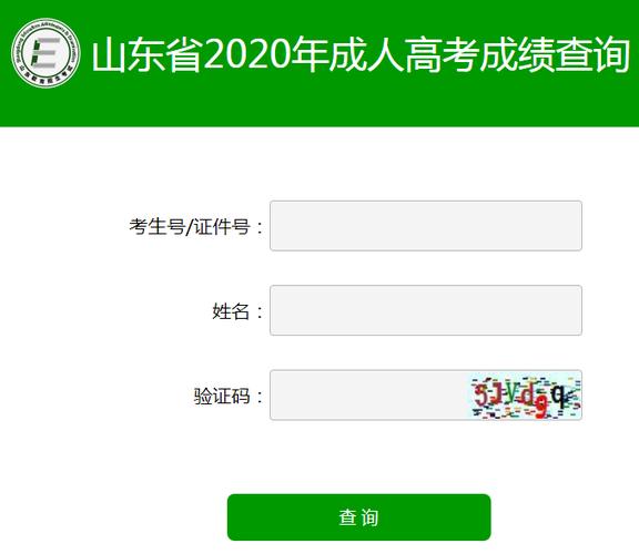 查询山东考生分数（山东考生查询高考分数的网站2020）